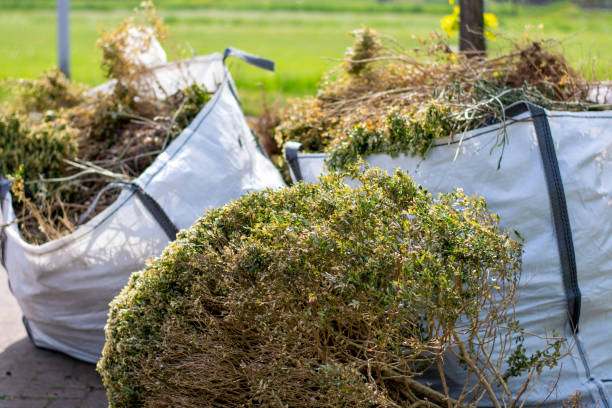 Best Same-Day Junk Removal Services  in Thompsonville, CT