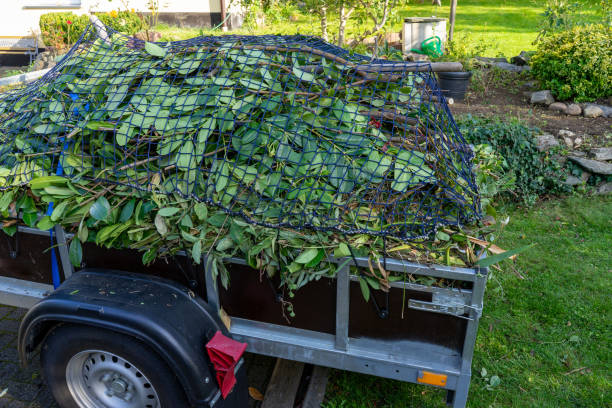 Best Recycling Services for Junk  in Thompsonville, CT